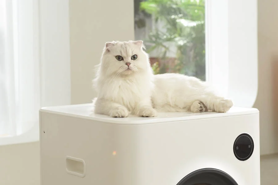 robot litter box reviews